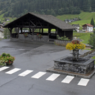 _DSC0537 Kopie_jpg-1285484146