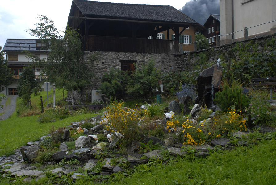 _DSC0586 Kopie_jpg-1285484188