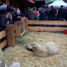 Egger Adventsausstellung