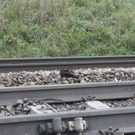 normal_260910zugseekgaaktivnews_0002.jpg