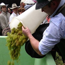 web260910larryhagman50.jpg