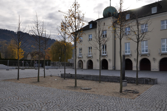 Baum XII.JPG