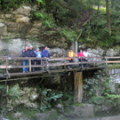 IMG_9511_JPG-1285526651