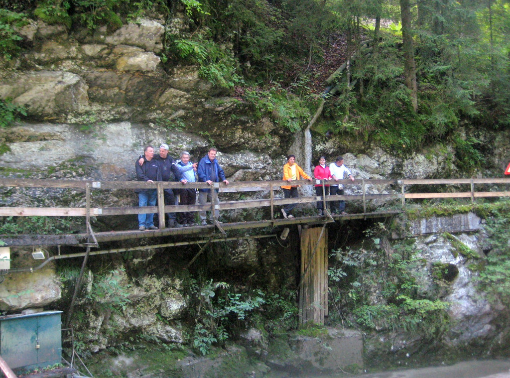 IMG_9511_JPG-1285526651