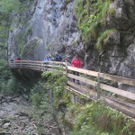 IMG_9522_JPG-1285526699