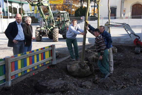Baum VI.JPG