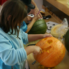 IMG_5819_JPG-1285527919.jpg
