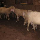 PICT0322.JPG
