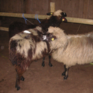 PICT0324.JPG