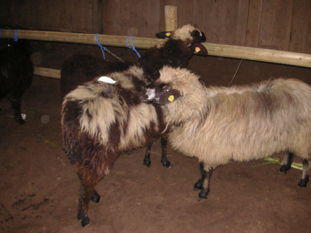 PICT0324.JPG