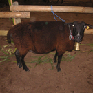 PICT0326.JPG