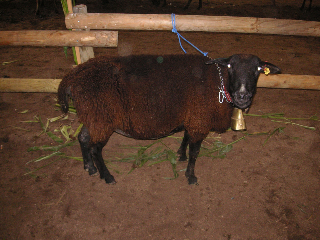 PICT0326.JPG