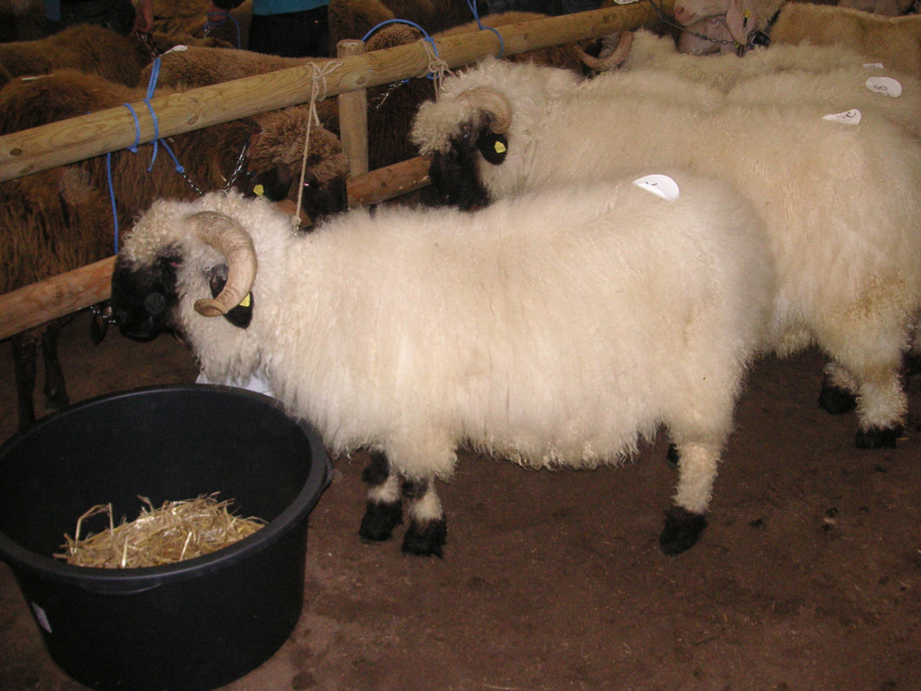 PICT0327.JPG