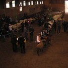 PICT0332.JPG