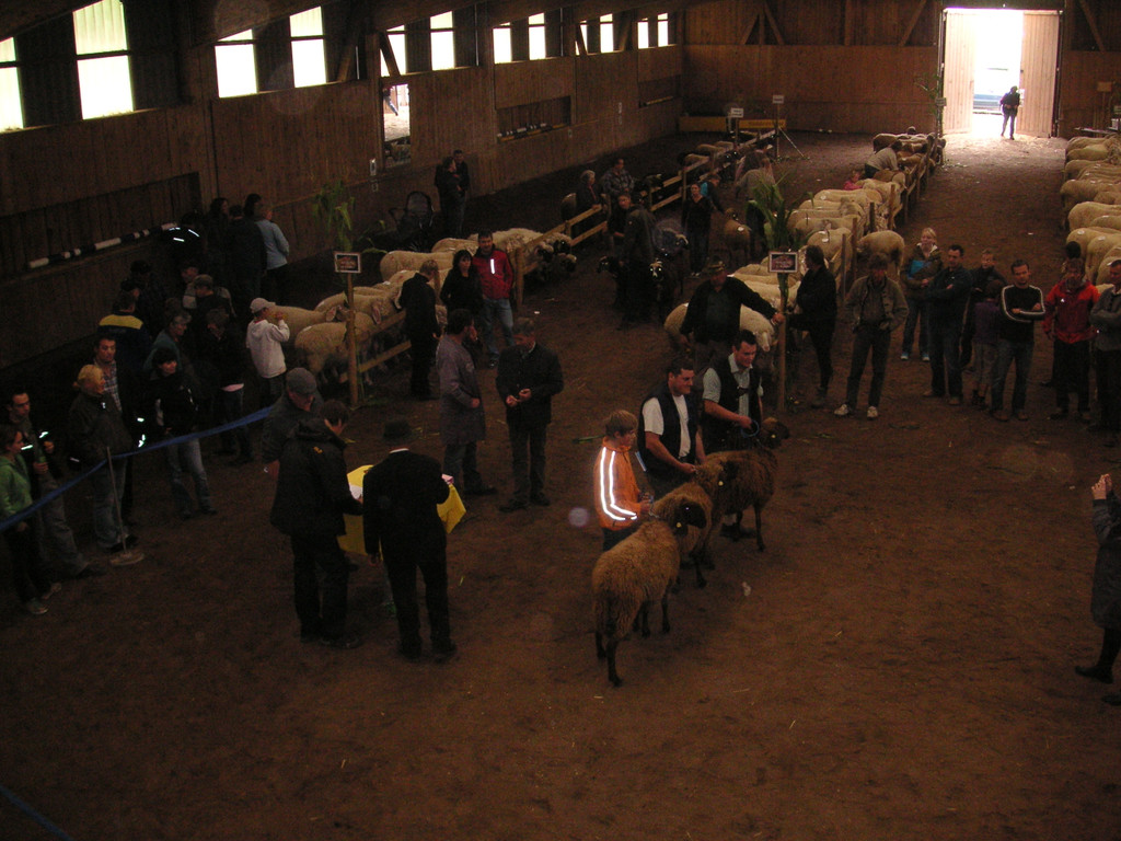 PICT0332.JPG