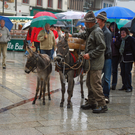 DSC_0010_JPG-1285541652