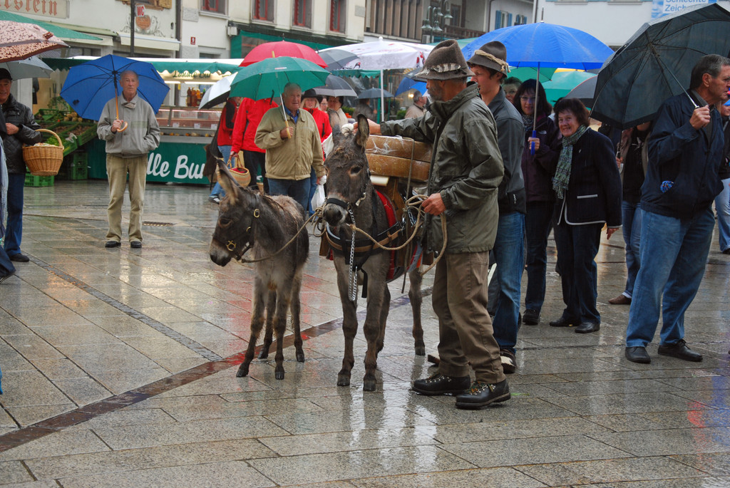 DSC_0010_JPG-1285541652