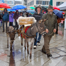 DSC_0013_JPG-1285541713