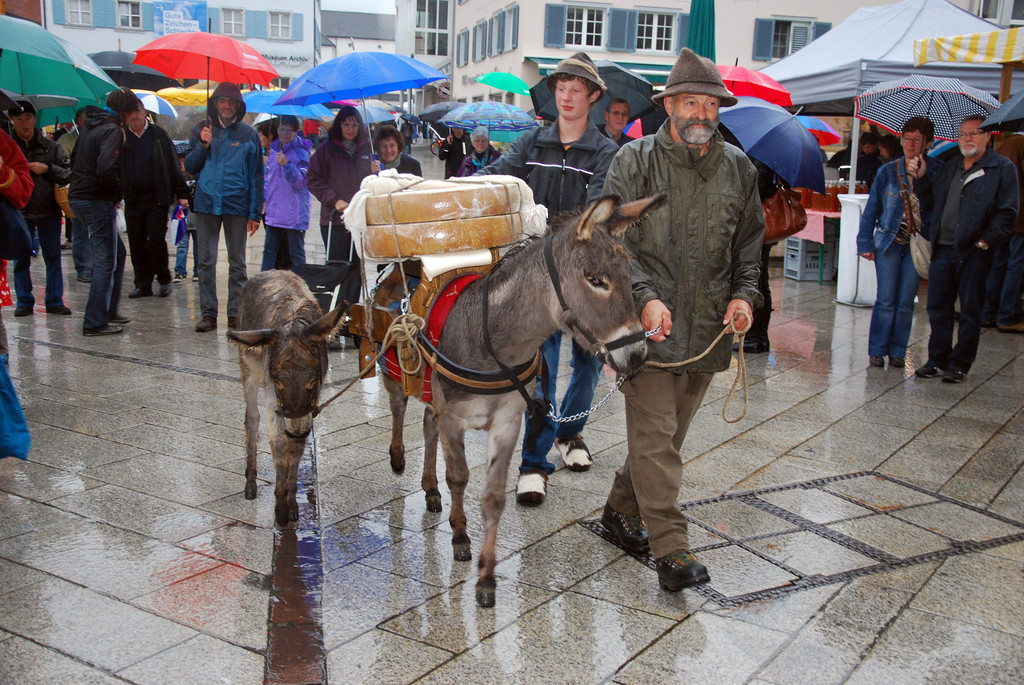 DSC_0013_JPG-1285541713