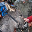 DSC_0019_JPG-1285541760