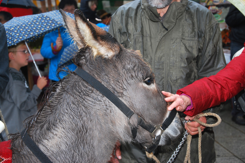 DSC_0019_JPG-1285541760