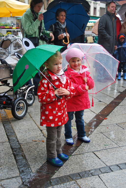 DSC_0020_JPG-1285541804