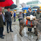 DSC_0027_JPG-1285541855