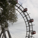 DSC0047.jpg