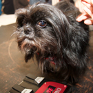 DSC0093.jpg