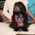 DSC0094.jpg