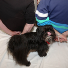 DSC0095.jpg