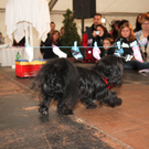 DSC0149.jpg