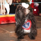 DSC0153.jpg