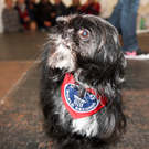 DSC0157.jpg