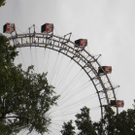 DSC0171.jpg