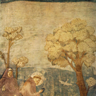 Franziskus1_jpg-1285568949