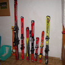 flohstern3_JPG-1285572893