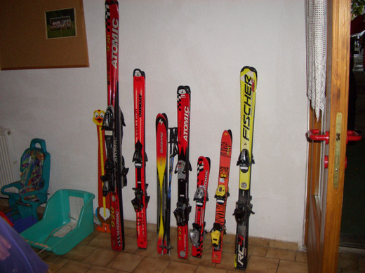 flohstern3_JPG-1285572893