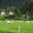 IMG_4835.JPG