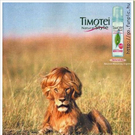timotei.jpg