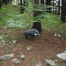 bogen32_JPG-1285581198