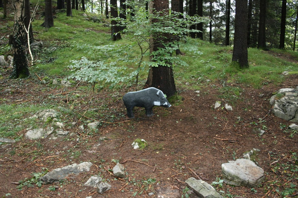bogen32_JPG-1285581198
