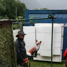bogen34_JPG-1285581220