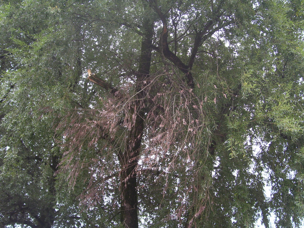 BF September 003_jpg-1285582027