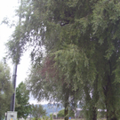 BF September 007_jpg-1285582140