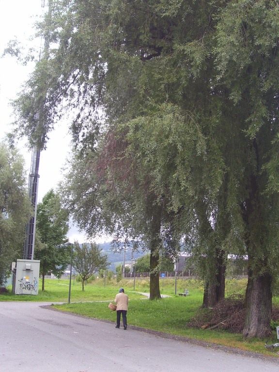 BF September 007_jpg-1285582140