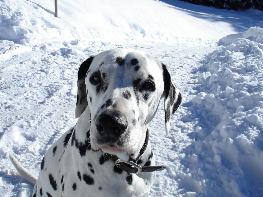 2006-01-20 Alpweg Kopf_003_jpg-1285584628