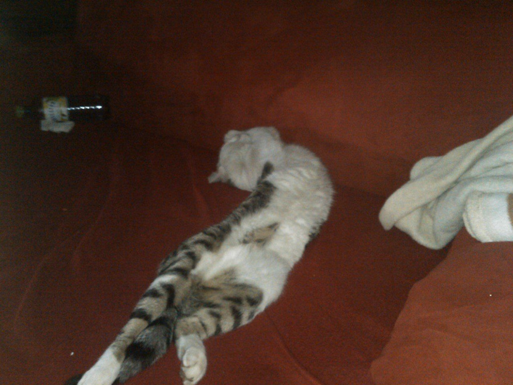 IMG026.jpg