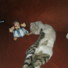 IMG027.jpg