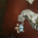 IMG028.jpg
